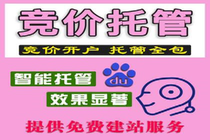 百度竞价个人开户的优化策略：从失败中学习，持续改进